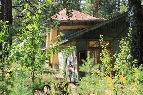 Abandoned wooden house in the woods. High quality photo © Ольга Кожина
