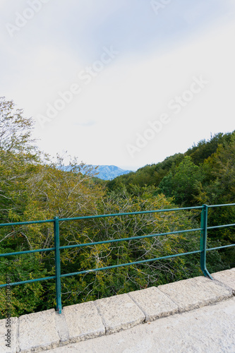 Landscape from a stone bridge crossing the forest