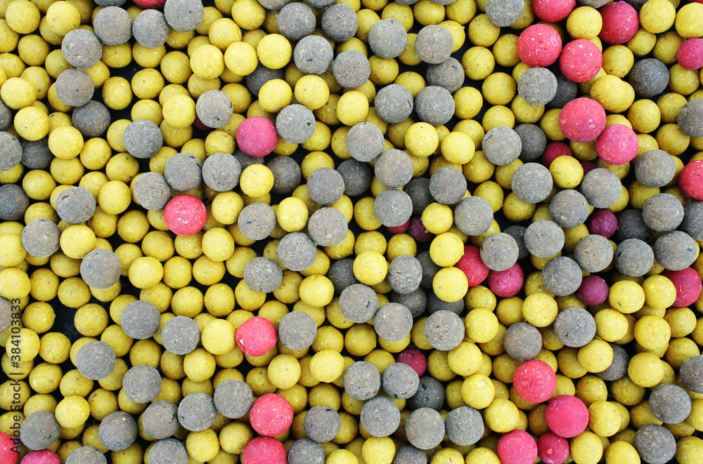 carp food in the form of a ball boiled carp food in the form of a ball boiled
