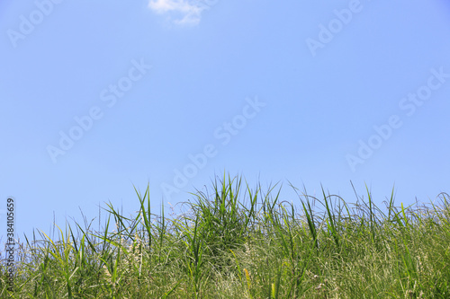草原と空