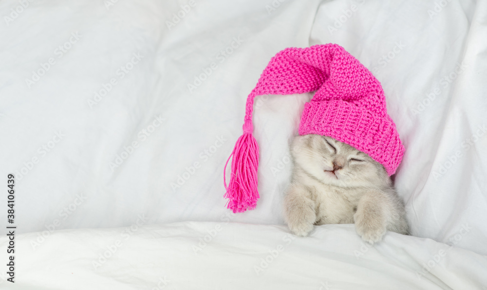 Tiny kitten wearing warm hat sleeps under white blanket on a bed at home. Top down view Tiny kitten wearing warm hat sleeps under white blanket on a bed at home. Top down view