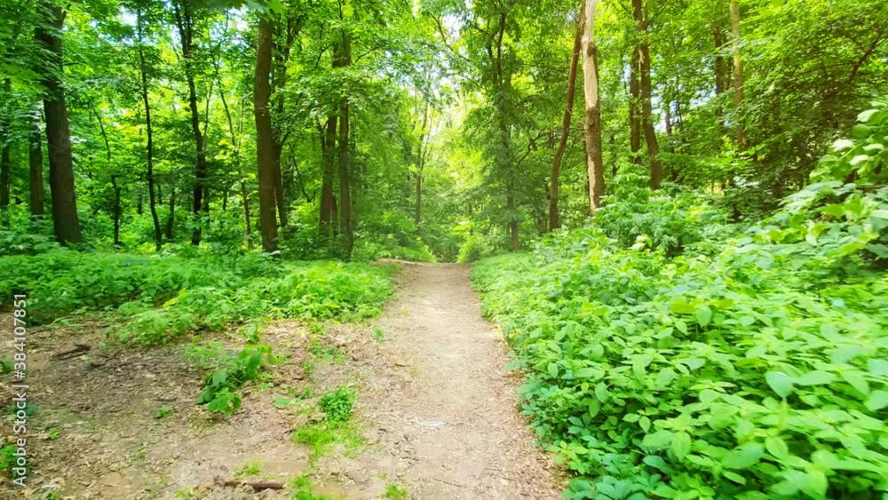 Hiking a Nature Trail through Ukrainian Forest Park, with Sound Hiking a Nature Trail through Ukrainian Forest Park, with Sound