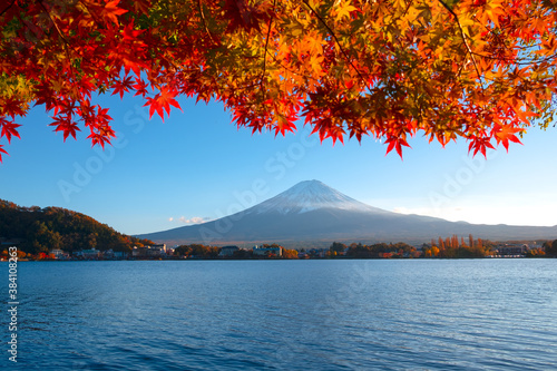 Colorful autumn season and Mountain Fuji with red leaves at lake Kawaguchiko in Japan