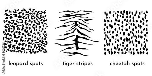 Animal print collection. Leopard spots, cheetah spots and tiger stripes isolated on white. Great as a fashionable texture on textile and fabric. Vector illustration