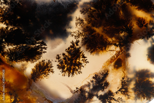 Fotografie Macro mineral stone Moss Agate, Agate muschiataan white