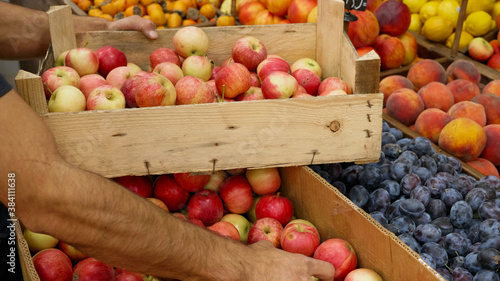 Close-up of grocery worker is puts the apples in wooden box from store shelves. Salesman is working in fruit and vegetable department of supermarket