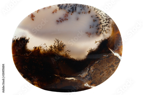 Canvas Print Macro mineral stone Moss Agate, Agate muschiataan white