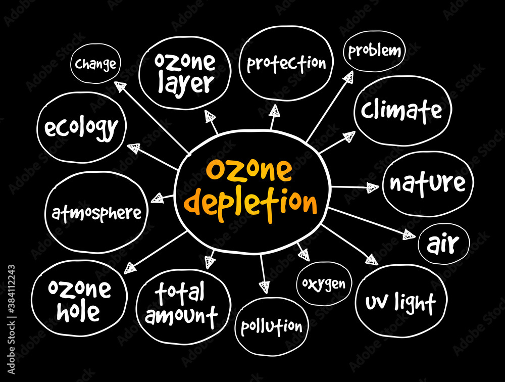 descriptive essay about reducing ozone depletion