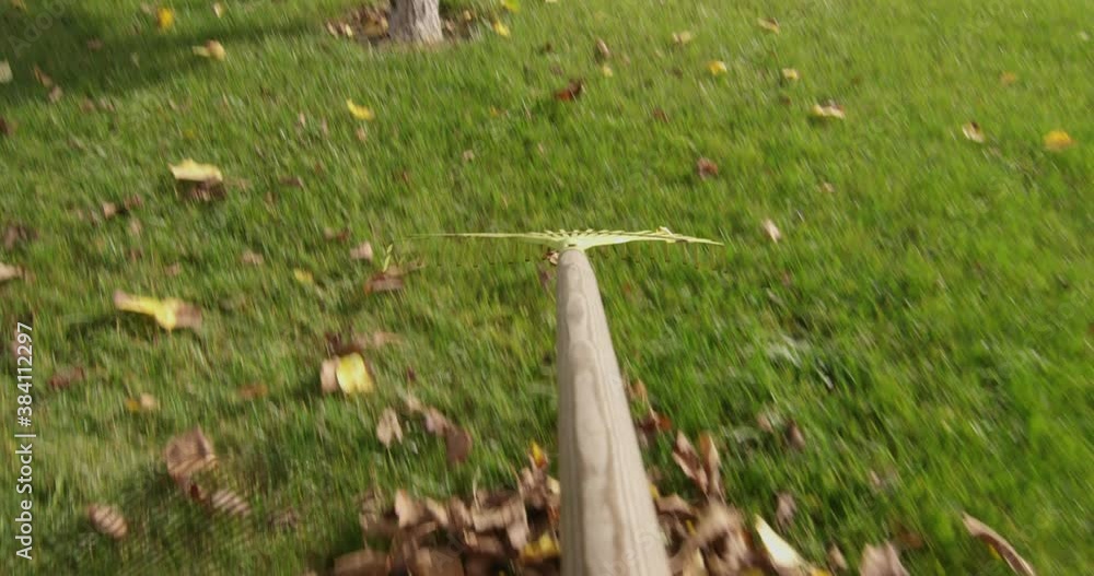 Raking Leaves on a Green Lawn in the Garden at Fall a POV Shot on Red Camera
Raking Leaves on a Green Lawn in the Garden at Fall a POV Shot on Red Camera
