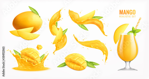 Mango Realistic Set