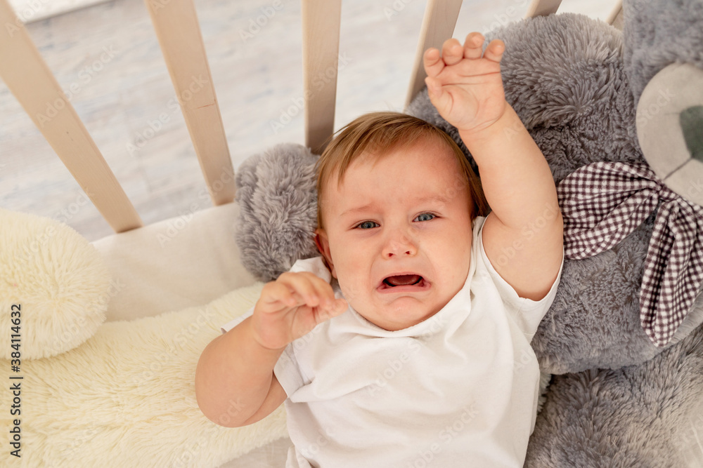 baby boy six months old crying in his crib with a big Teddy bear Stock Photo Adobe Stock