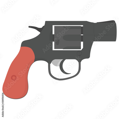 A small sized weapon to shoot by bullet, revolver
