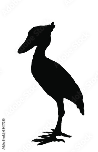 Shoebill vector silhouette illustration isolated on white background. Balaeniceps rex, Whalehead stork.