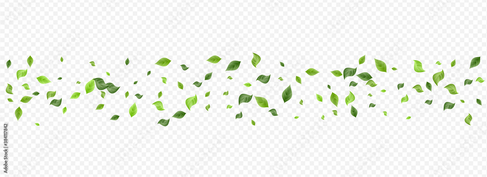 Lime Foliage Blur Vector Panoramic Transparent Lime Foliage Blur Vector Panoramic Transparent