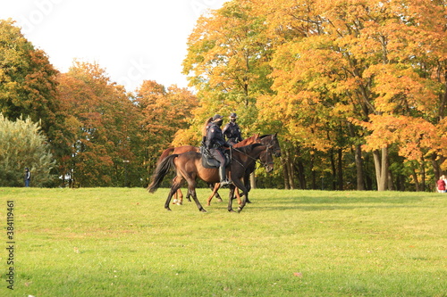 Three mounted policemen in Kolomenskoye Park. Russian police officers in black medical masks. photo