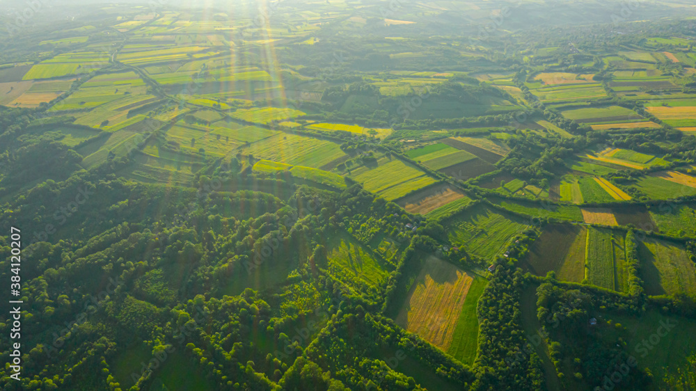 Aerial view of over green landscape at early misty morning