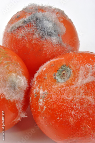 some mouldy tomato on a white background