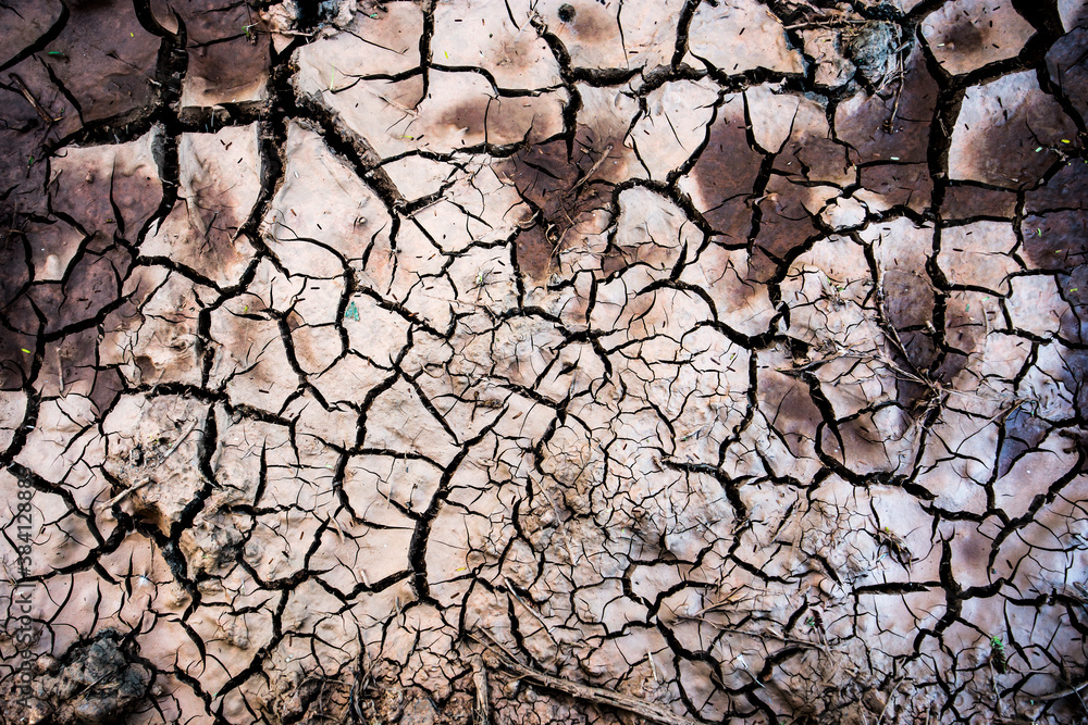Fototapeta premium soil crack for background