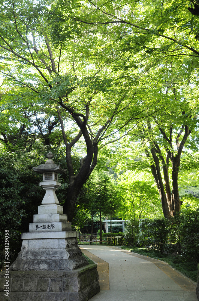 東郷神社の石灯籠