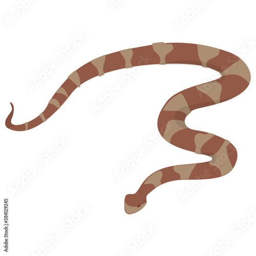 
An isolated snake flat icon vector 

