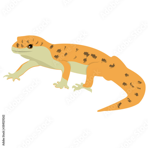  A flat icon design of Squamata lizard on white background 