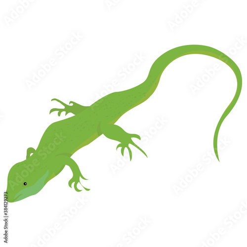  A flat icon design of a lizard  