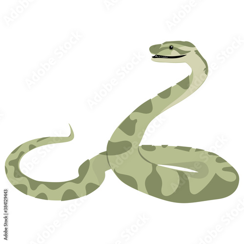 
An isolated snake flat icon vector 
