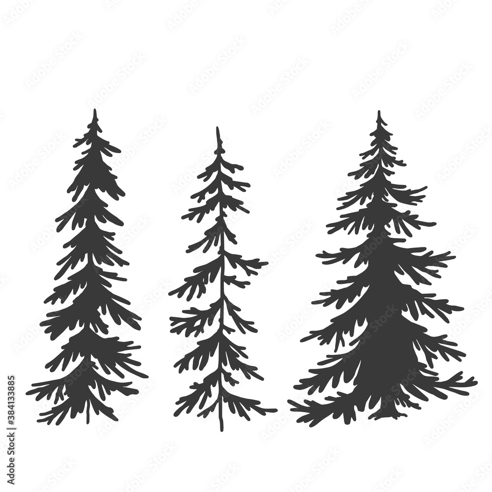 spruce tree set, vector hand drawing, silhouette