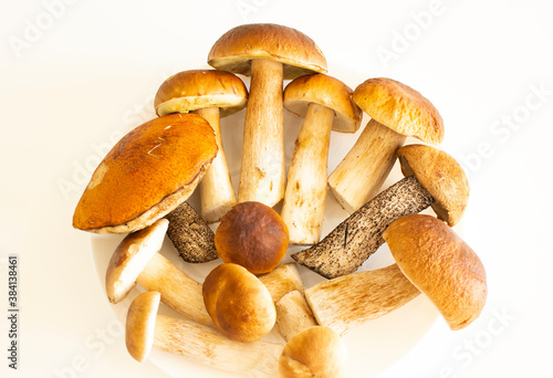 Top view of mushrooms on white background.
