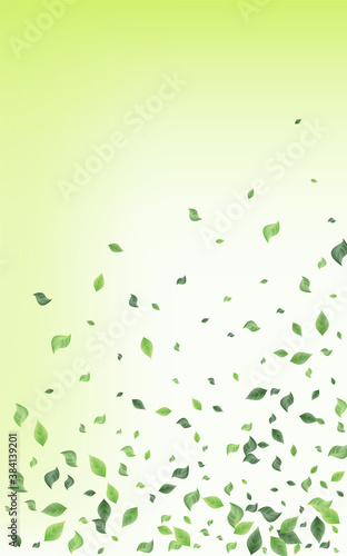 Lime Leaves Tree Vector Green Background Pattern. 