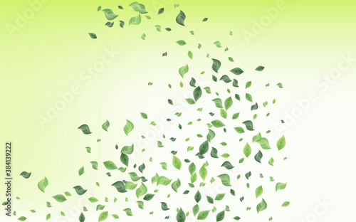Lime Greenery Spring Vector Green Background 