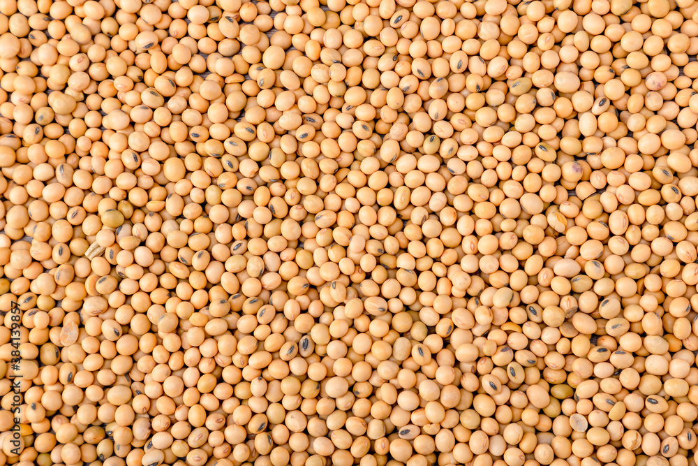 Yellow soybean grain. Top view Soybean pattern as for background. Raw dehydrated soybeans texture background top view. Yellow soybean grain. Top view Soybean pattern as for background. Raw dehydrated soybeans texture background top view.
