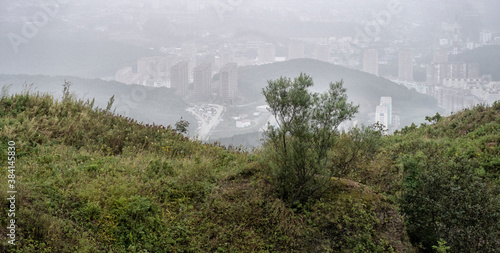 Фотография view of the city of Vladivostok