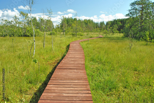 Walking path through a swamp in a nature park