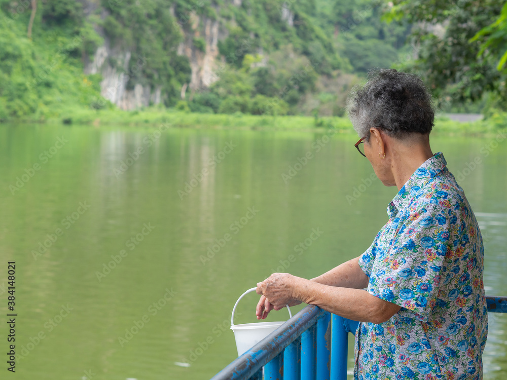 Portrait of a senior Asian woman holding a white plastic bucket and standing to feed the fishes in the pond. Space for text. Beautiful nature background. Concept of old people and relaxation