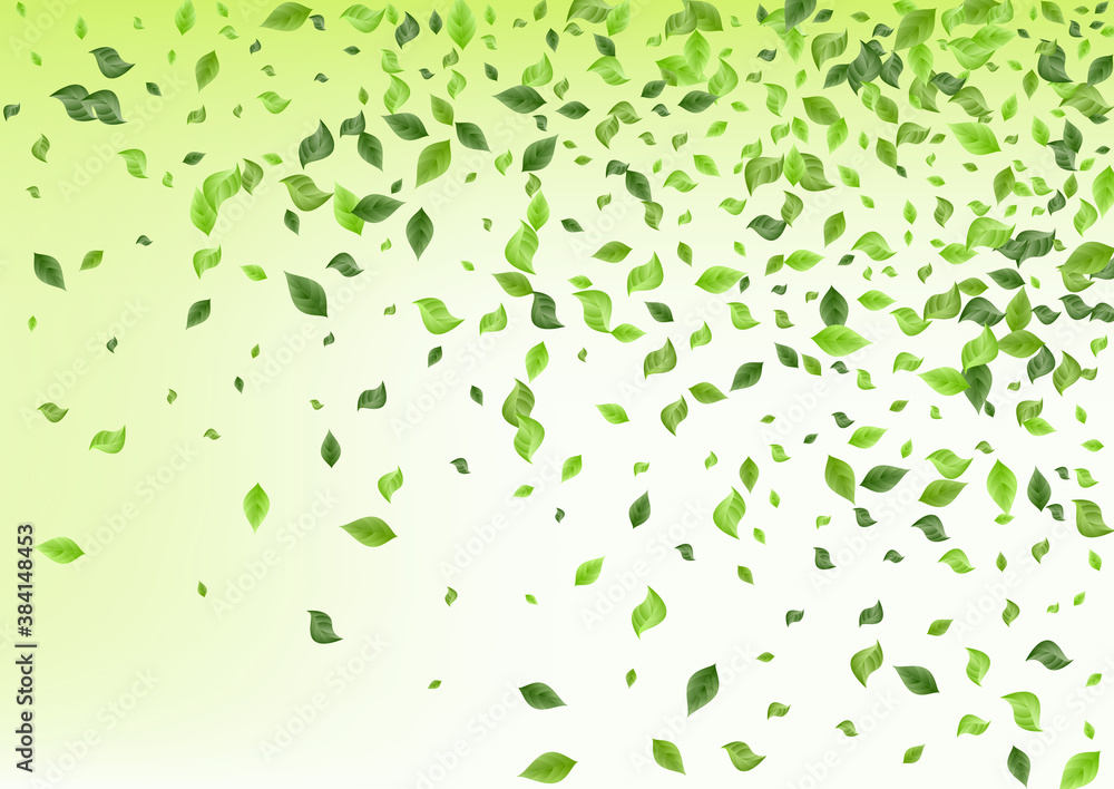 Forest Greenery Blur Green Background Forest Greenery Blur Green Background