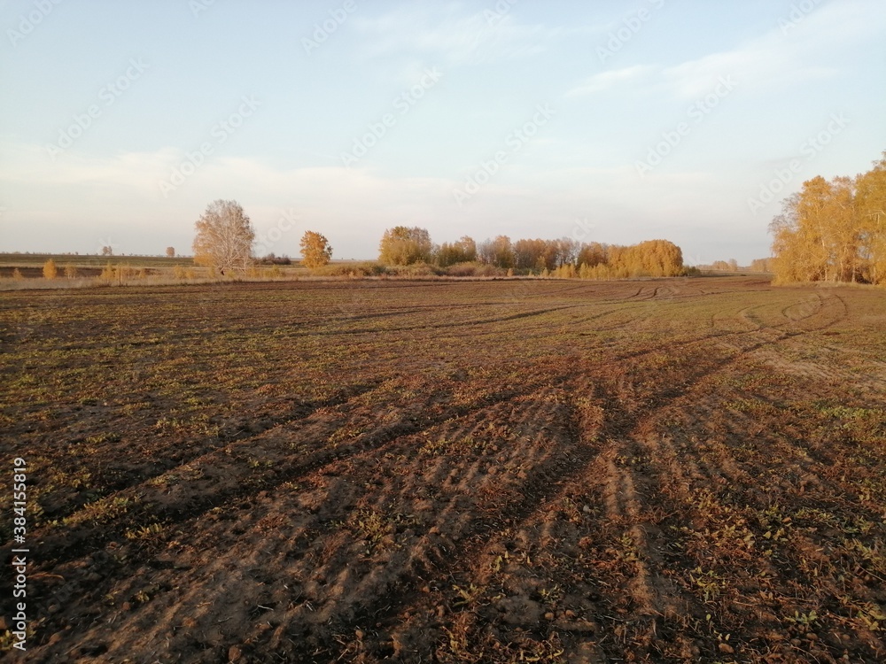Field Field