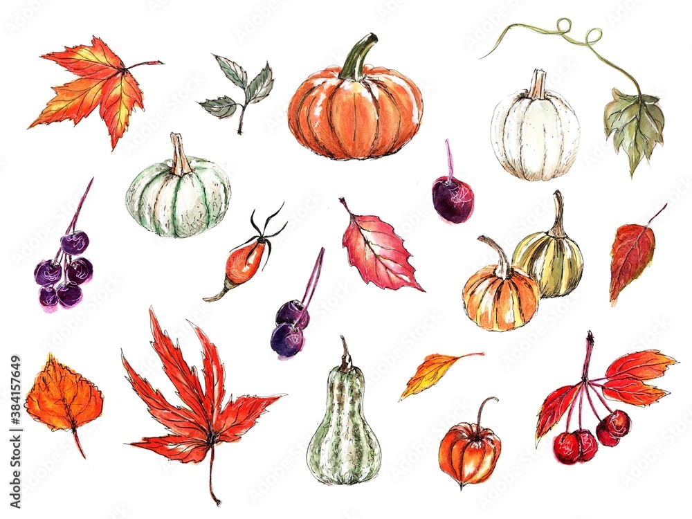 Autumn plants set. Pumpkins, red and orange leaves, rosehip, rowan, physalis. Watercolor hand painted illustration, isolated, white background Autumn plants set. Pumpkins, red and orange leaves, rosehip, rowan, physalis. Watercolor hand painted illustration, isolated, white background