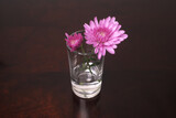 テーブルの上のガラスのコップに挿したピンクの菊の花