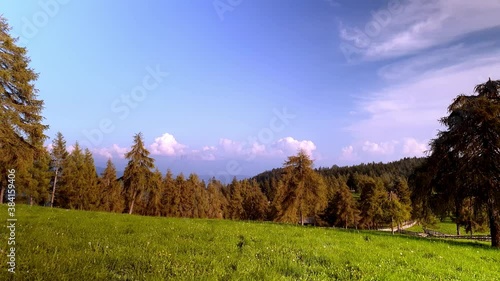 Larch Meadows on a mountain top photo