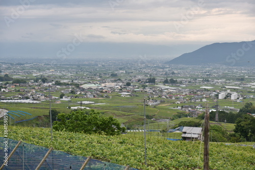 勝沼ぶどう郷