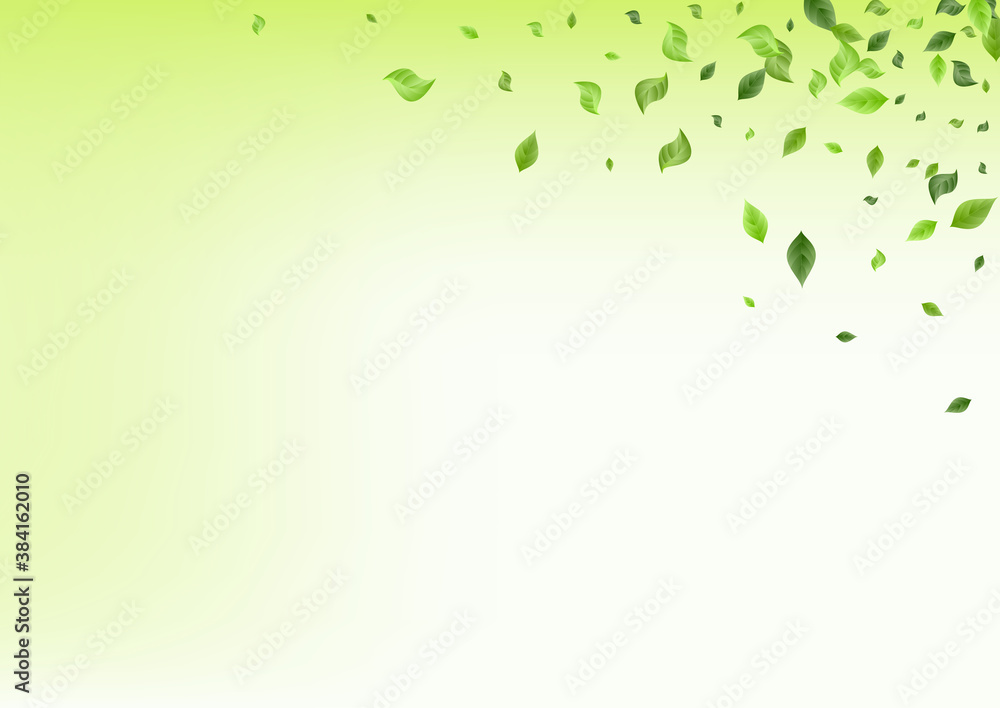 Lime Greenery Swirl Vector Green Background Lime Greenery Swirl Vector Green Background