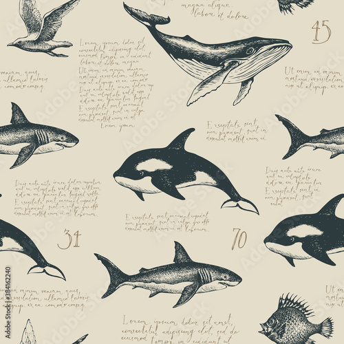 Seamless pattern with handwritten latin text Lorem ipsum and various hand-drawn fishes. Vector repeating background in vintage style, suitable for wallpaper, wrapping paper, fabric