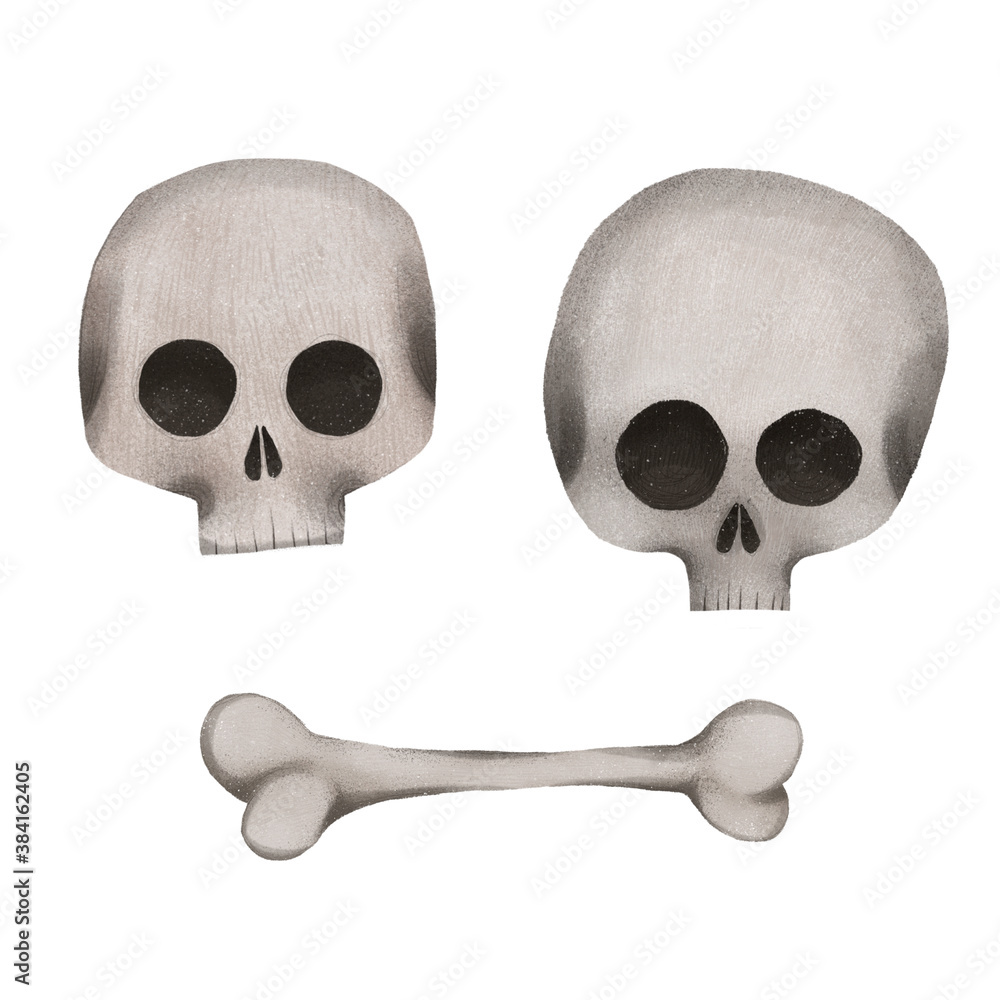 set of human skull and bone, hand drawing