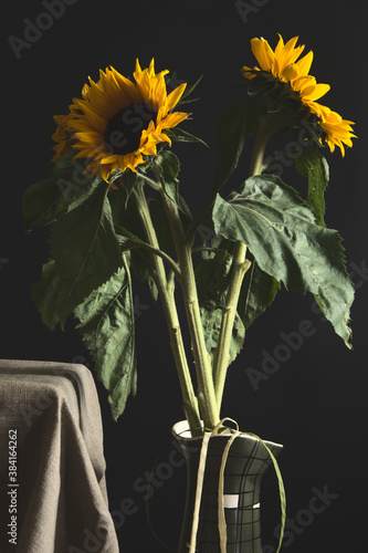 Sunflowers on a black background