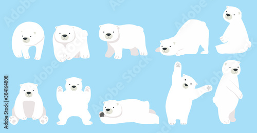 Cute Polar bear funny character cartoon set