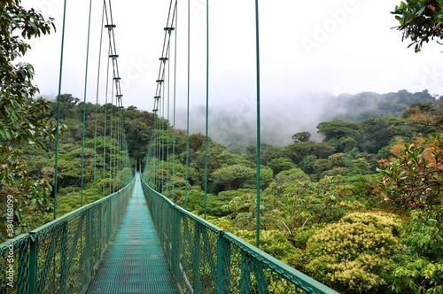 Bosque nuboso de Monteverde en Costa Rica Pura vida