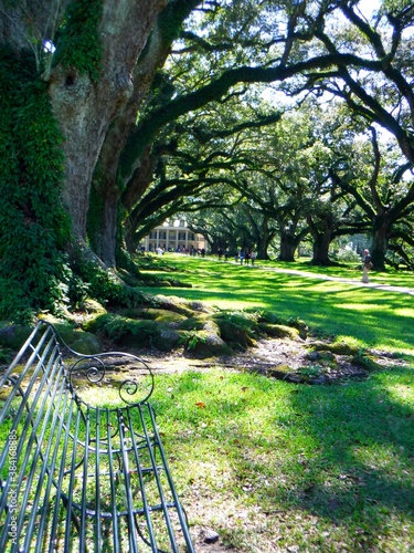 North America, United States, Louisiana, North Vacherie (St. James Parish), Oak Alley Plantation : Louisiana's Creole Heritage Site photo