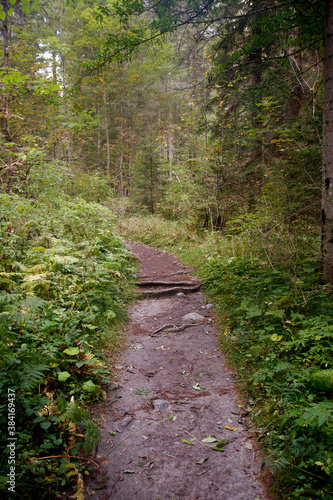 Sentiero di montagna