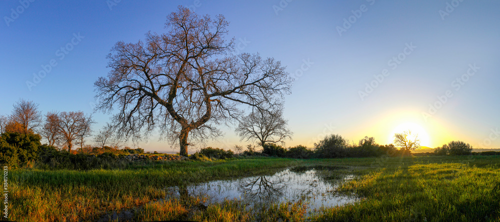 Glory: Sunset in the Italian countryside after heavy rain Glory: Sunset in the Italian countryside after heavy rain